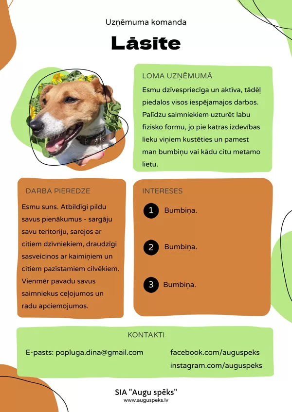 Lāsīte